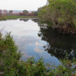 Kasanka Luwombwa River