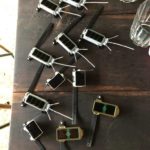 Kasanka Bat Research