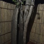 Outside shower in new chalet Wasa Lodge