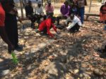 Conservation farming training