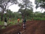 Planting