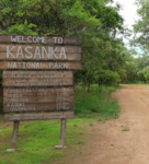 Kasanka Infrastructures
